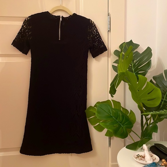 Gorgeous Lace Dress - Picture 5 of 5